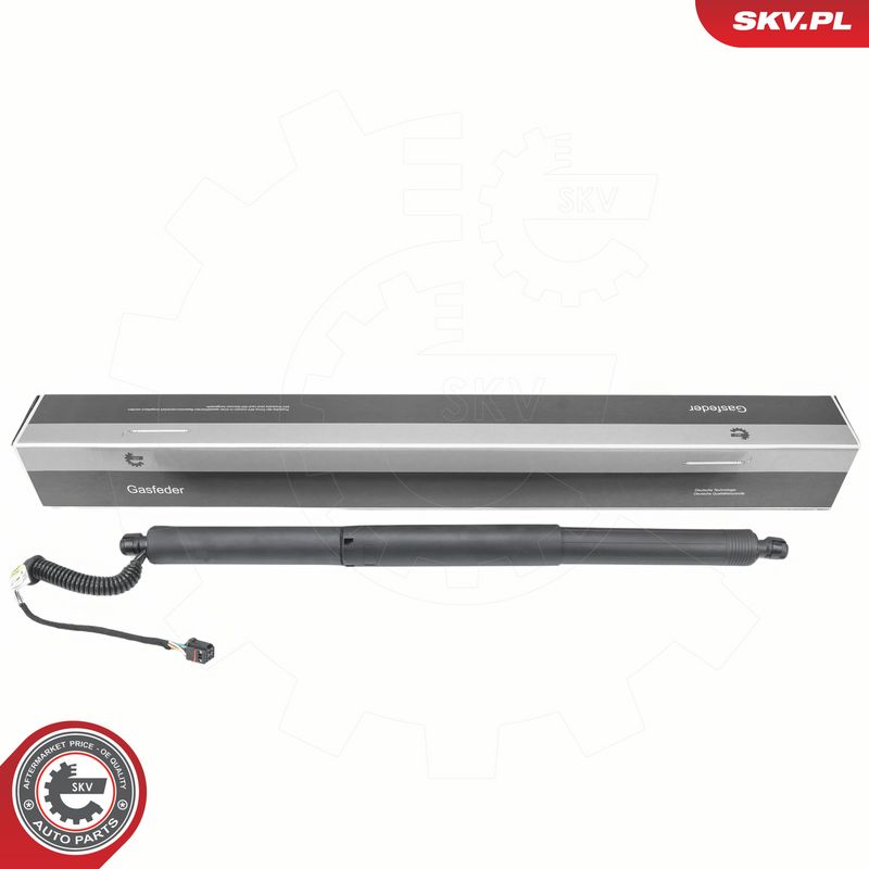 Elektrimootor, tagaluuk, ESEN SKV 52SKV195