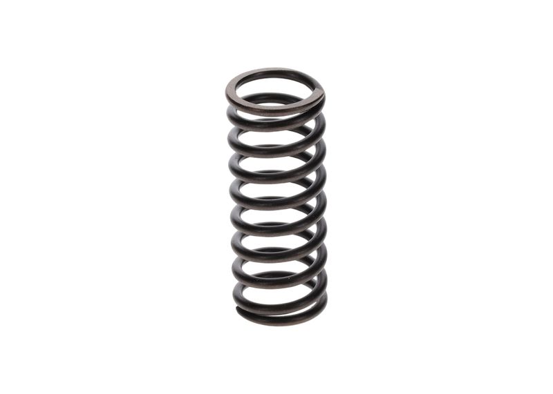 BOSCH 2414617001 Spring