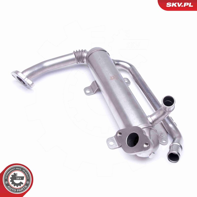 ESEN SKV 14SKV223 EGR Valve
