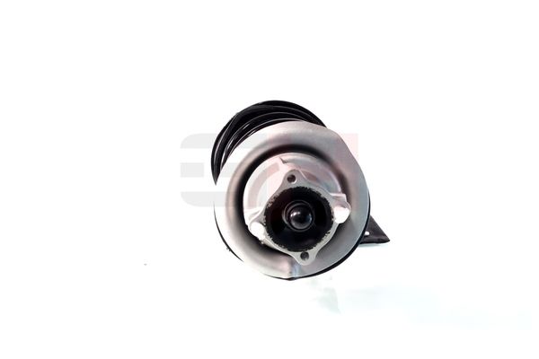 Vedruamort, GH GH-353364C01