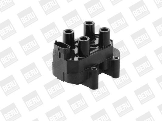 BorgWarner (BERU) ZS450 Ignition Coil