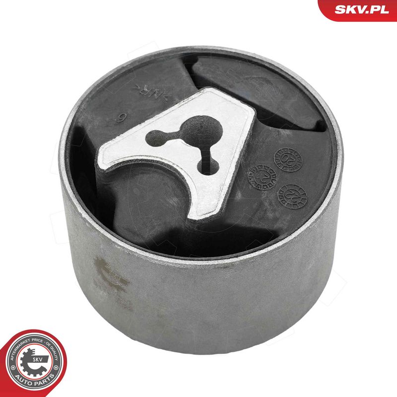 Paigutus, Mootor, ESEN SKV...