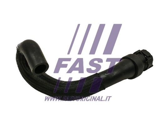 FT61082_2_1.JPG
