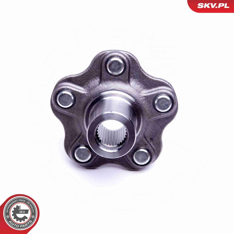 ESEN SKV 29SKV355 Wheel Bearing Kit