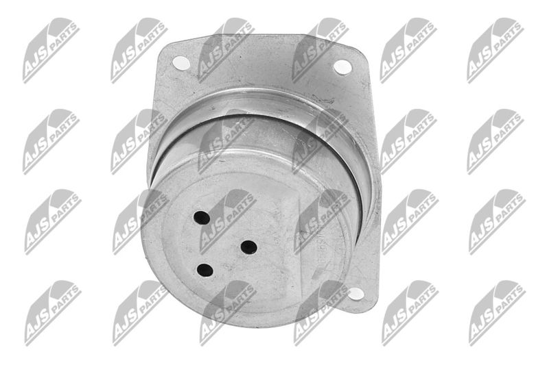 Paigutus, Mootor, NTY ZPS-PL-025