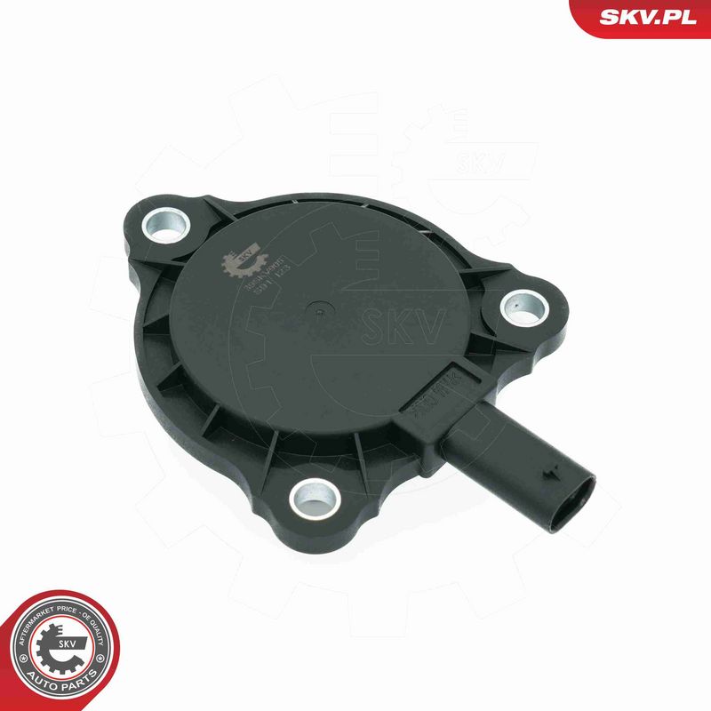 ESEN SKV 39SKV905 Central Magnet, camshaft adjustment