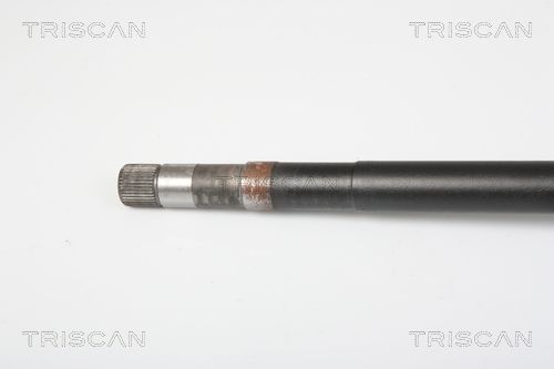 854028671_2.JPG