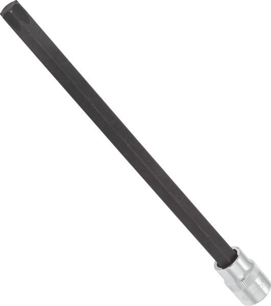 Padrun, VIGOR V6103