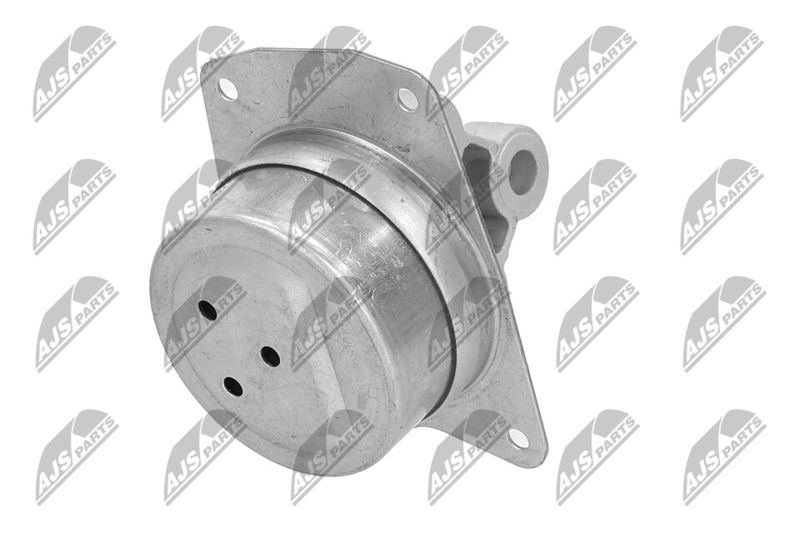 Paigutus, Mootor, NTY ZPS-PL-025