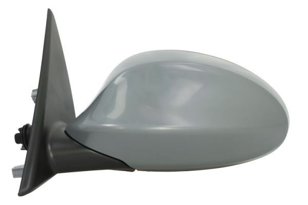 BLIC 5402-04-1191520 Exterior Mirror