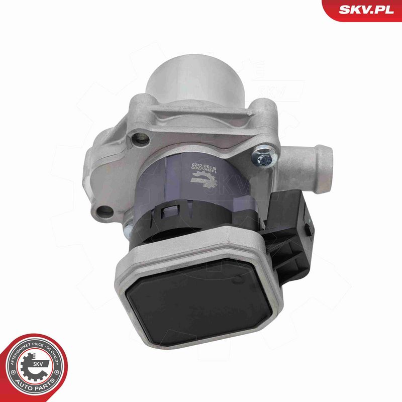 ESEN SKV 14SKV305 EGR Valve