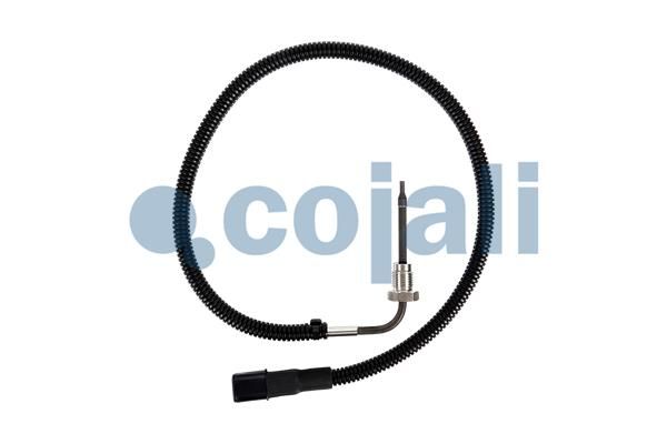 Čidlo, teplota výfukových plynů 2260904