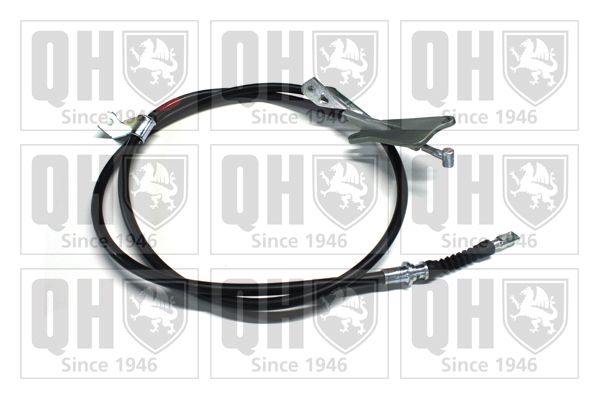 QH_BC3804.JPG