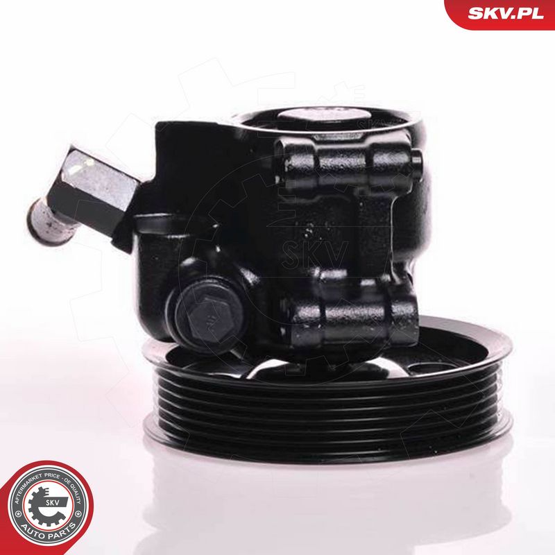 ESEN SKV 10SKV019 Hydraulic Pump, steering