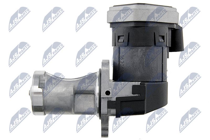 egr-vw-016_4-wm.JPG
