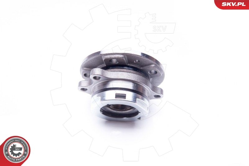 ESEN SKV 29SKV172 Wheel Bearing Kit