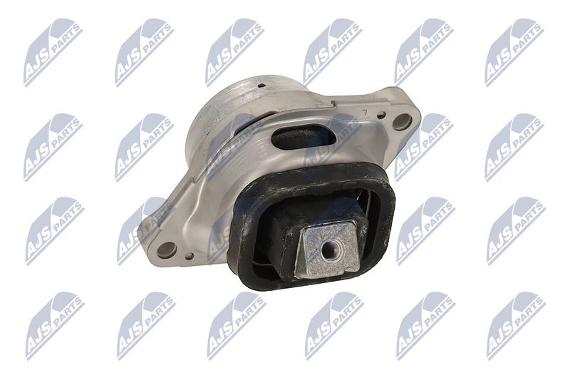 Paigutus, Mootor, NTY ZPS-LR-007