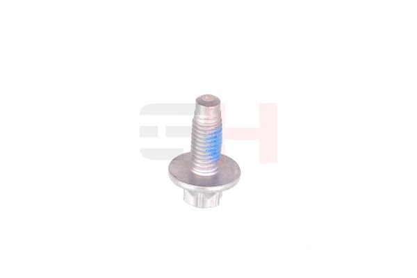 Vedruamordi tugilaager, GH GH-393311