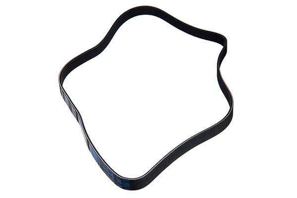 STELLOX 96-01244-SX V-ribbed Belt