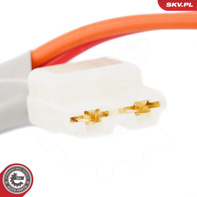 Roolilukk, ESEN SKV 65SKV232