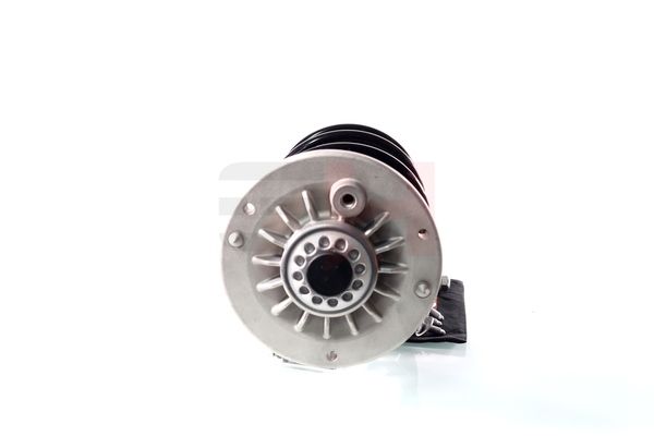 Vedruamort, GH GH-351594C03