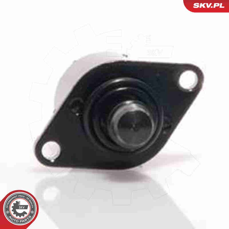 ESEN SKV 08SKV036 Idle Control Valve, air supply