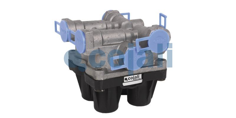 Supapa protectie multicircuit COJALI 2222429