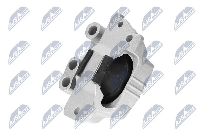 Paigutus, Mootor, NTY ZPS-CH-132