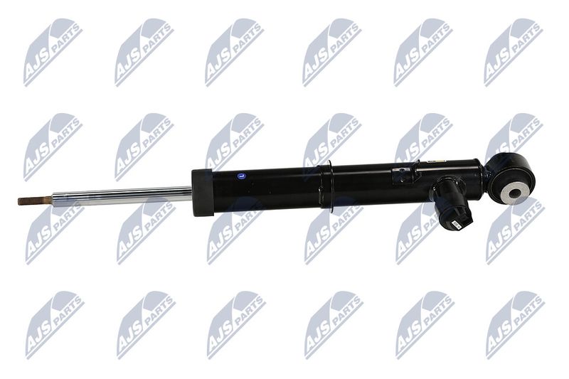 Amort, NTY A-LR-034