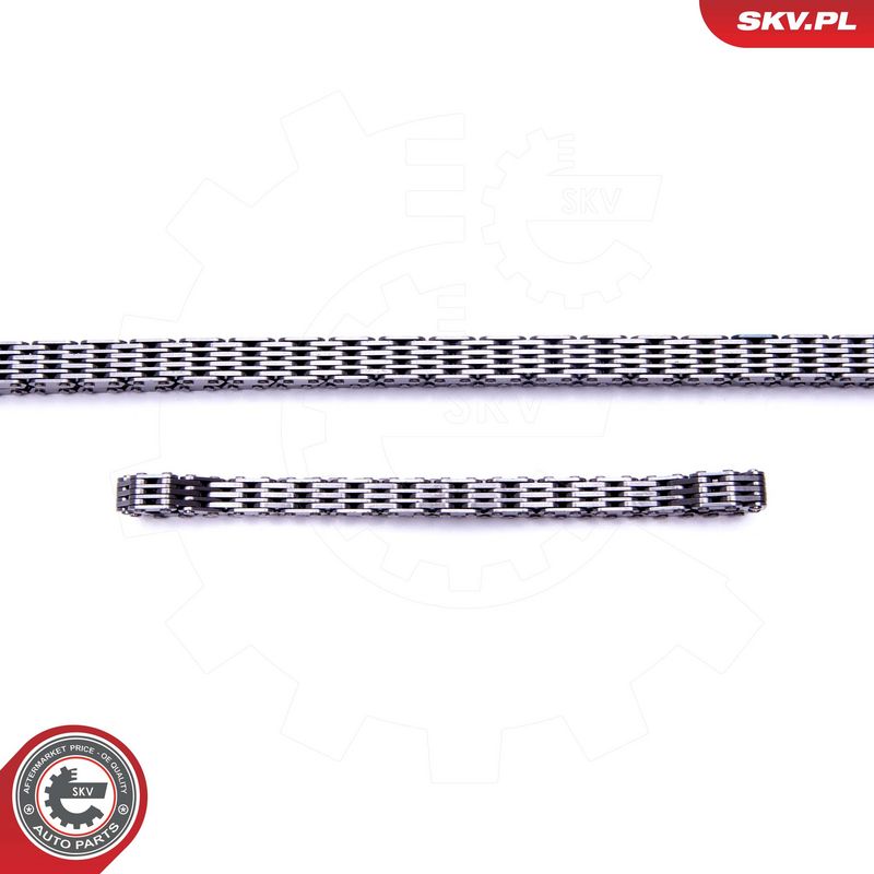 Mootori keti komplekt, ESEN SKV 21SKV243