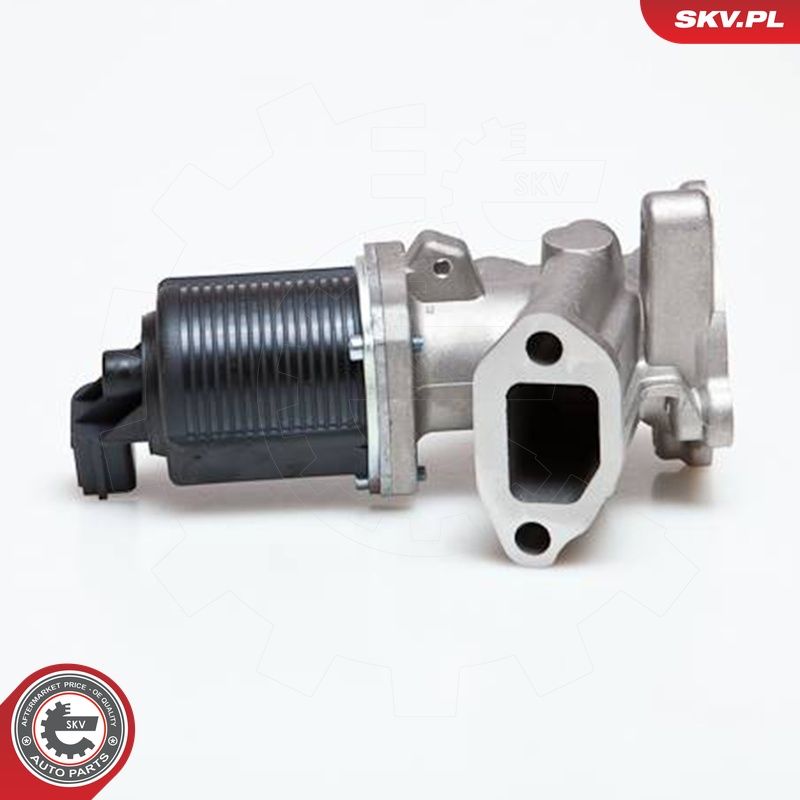 EGR-klapp, ESEN SKV 14SKV014