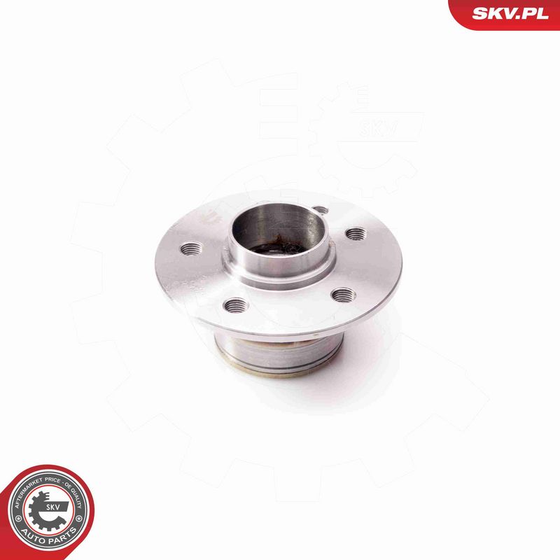 ESEN SKV 29SKV074 Wheel Bearing Kit