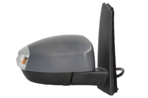 BLIC 5402-03-0361313P Exterior Mirror