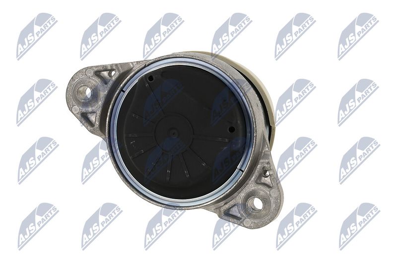 Paigutus, Mootor, NTY ZPS-ME-011