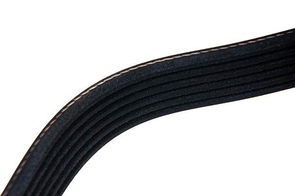 STELLOX 96-01683-SX V-ribbed Belt