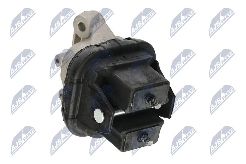 Paigutus, Mootor, NTY ZPS-CH-019