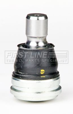 FBJ5774_5423847.JPG