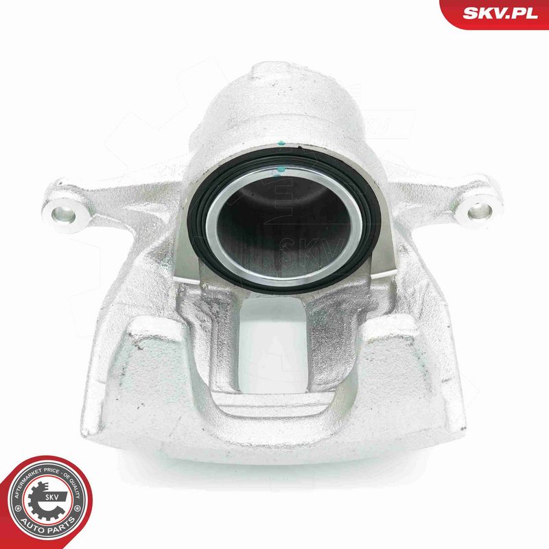 ESEN SKV 56SKV531 Brake Caliper