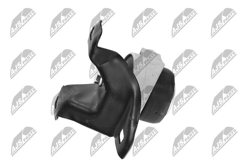 Paigutus, Mootor, NTY ZPS-FR-011