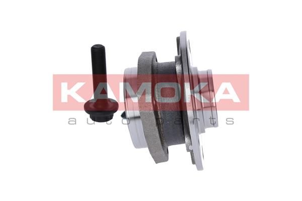 KAMOKA 5500066 Wheel Bearing Kit