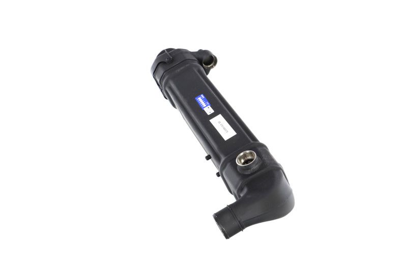 REMANTE 010-001-000025R EGR Module