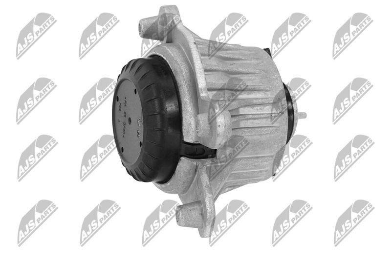 Paigutus, Mootor, NTY ZPS-ME-049