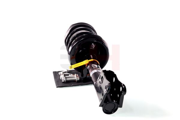 Vedruamort, GH GH-353364C01