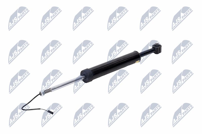 Amort, NTY A-MA-002