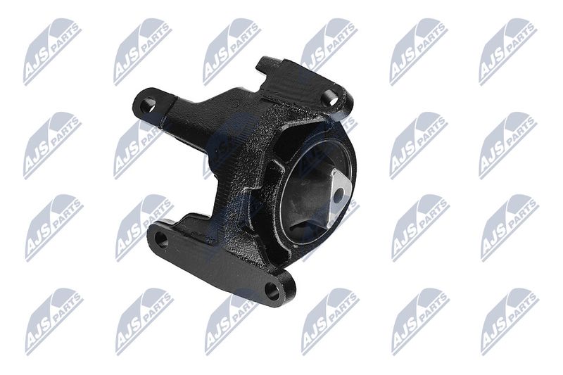 Paigutus, Mootor, NTY ZPS-CH-087