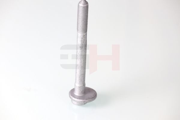 Rattakalde korrektuurkruvi, GH GH-393304