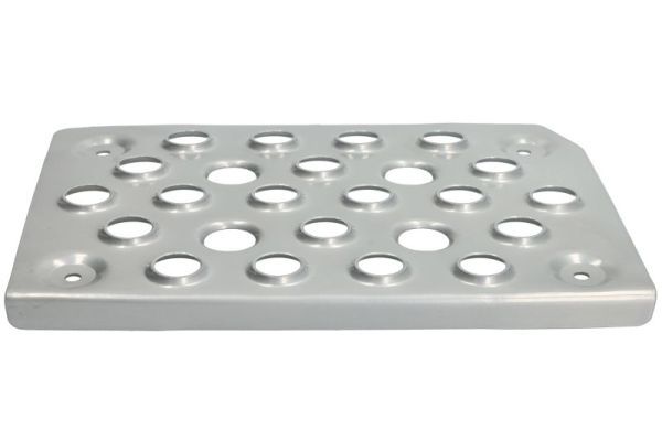 Türschwellen - Trittbrett