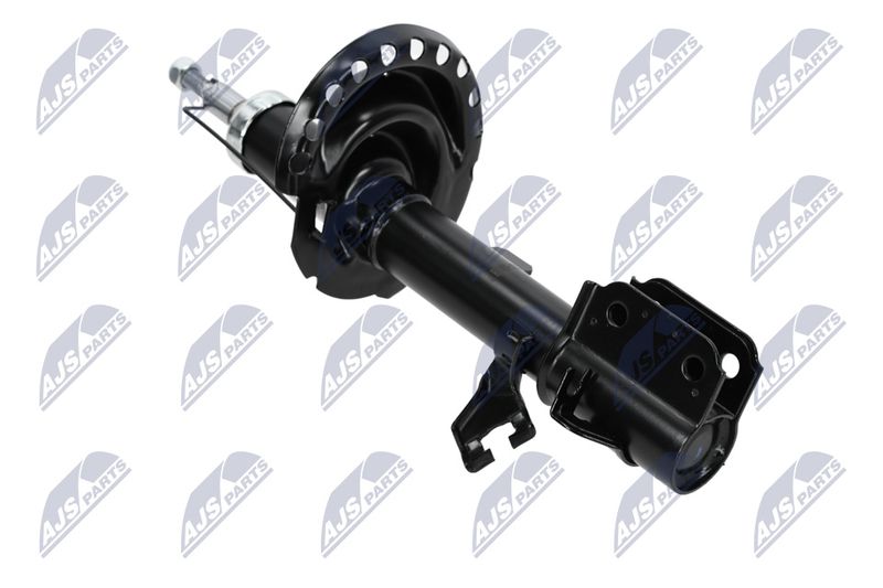 Amort, NTY A-NS-023