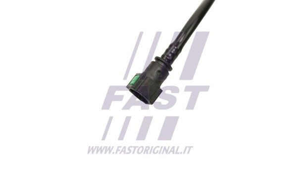 FT61884_2_1.JPG