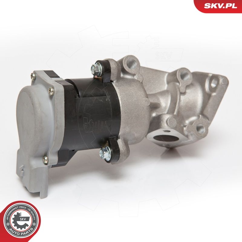 EGR-klapp, ESEN SKV 14SKV066